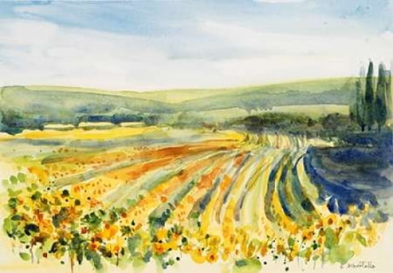 Campo di girasoli Canvas Art - Emanuela Albertella (20 x 28)