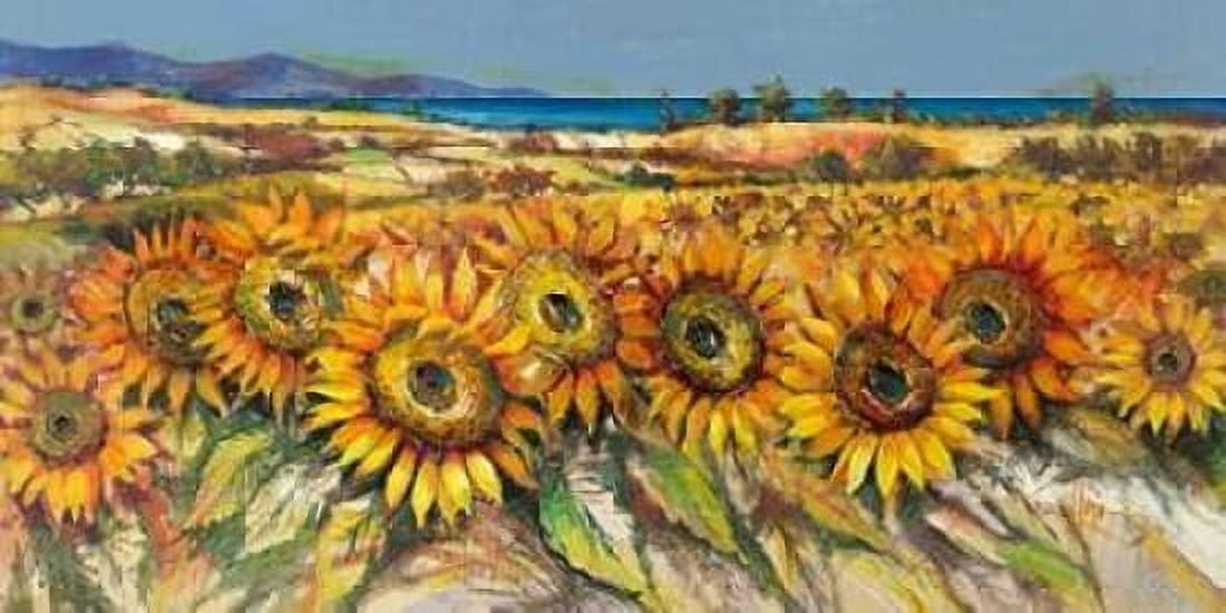 Campo di girasoli Canvas Art - Luigi Florio (10 x 20)