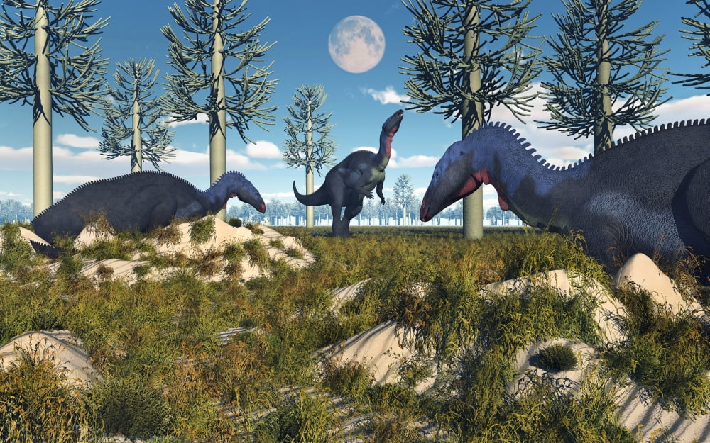 Camptosaurus nesting ground set during the Jurassic Period Canvas Art - Mark StevensonStocktrek Images (36 x 23)