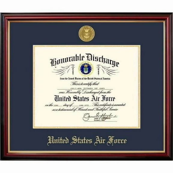 Patriot Frame's Air Force 8.5x11 Discharge Petite Frame with Gold Medallion