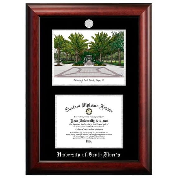 Campus Images FL989LSED-1411 14 x 11 in. University of South Florida Silver Embossed Diploma Frame with Lithograph