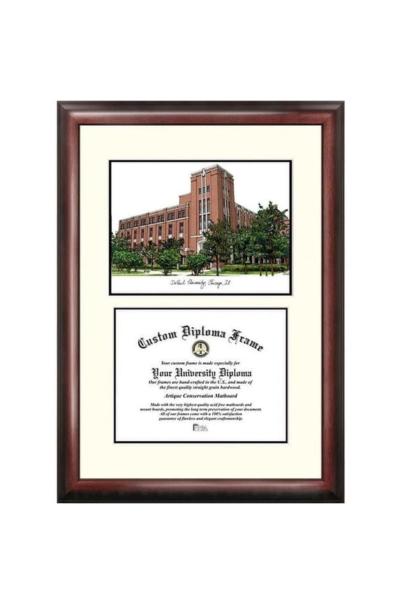 IL974V DePaul University Scholar Framed