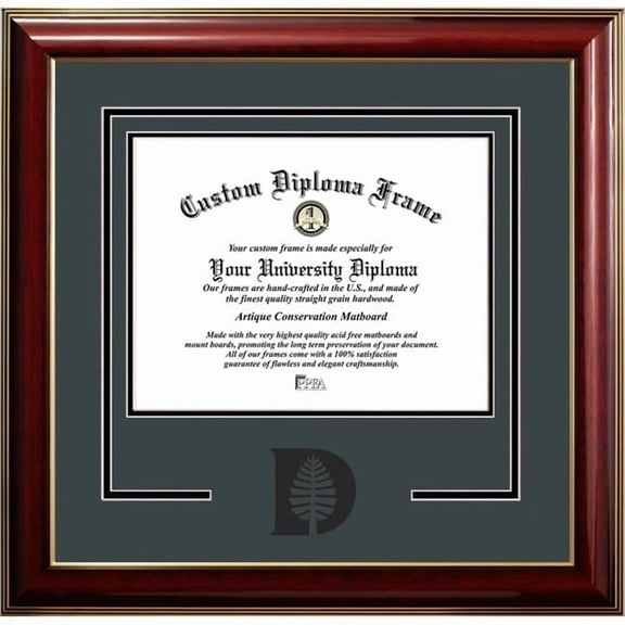 Campus Images NH999CMGTSD-1612 12 x 16 in. Dartmouth College Classic Spirit Logo Diploma Frame