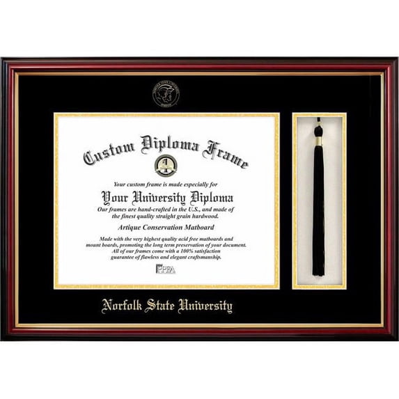 Campus Images VA992PMHGT-1411 14 x 11 in. Norfolk State Tassel Box & Diploma Frame - Lacquer
