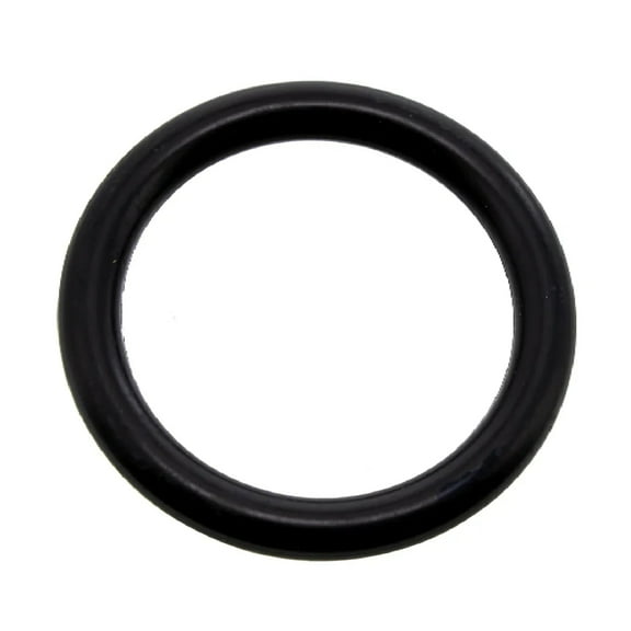 Can-Am New OEM Gear Box Rubber O-Ring, 420650350