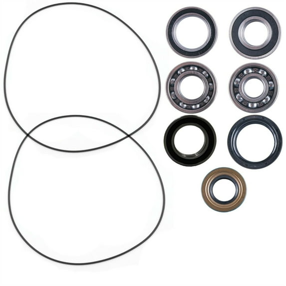 Can Am Renegade Rear differential bearing & seal kit