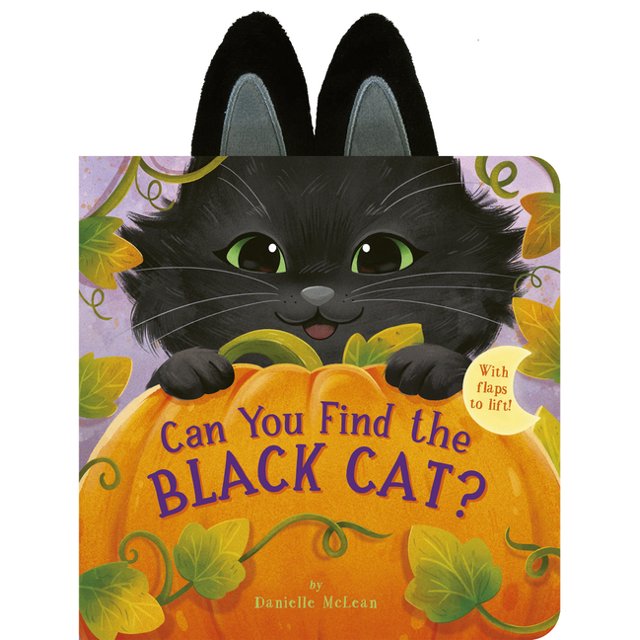 Can You Find the Black Cat? With Flaps to Lift!, (Board Book