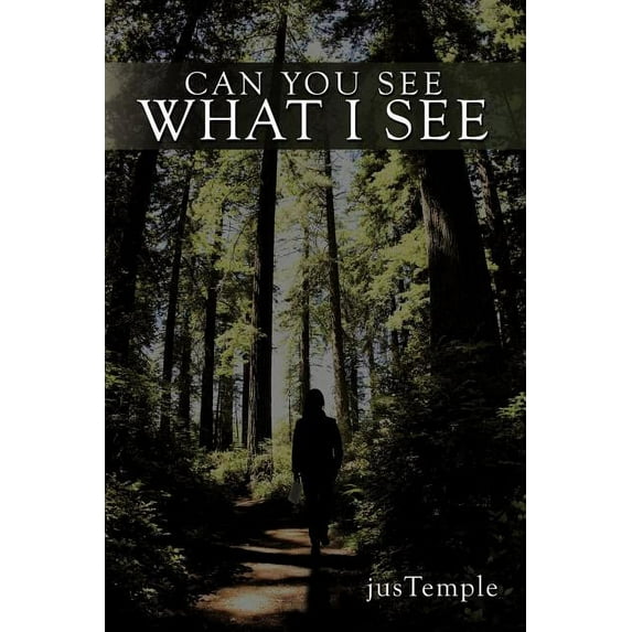 Can You See What I See (Paperback)