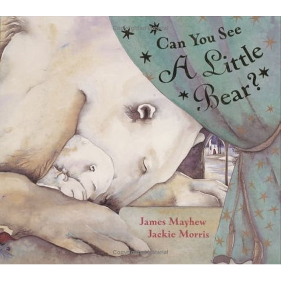 Pre-Owned Can You See a Little Bear? (Hardcover) 1845072987 9781845072988