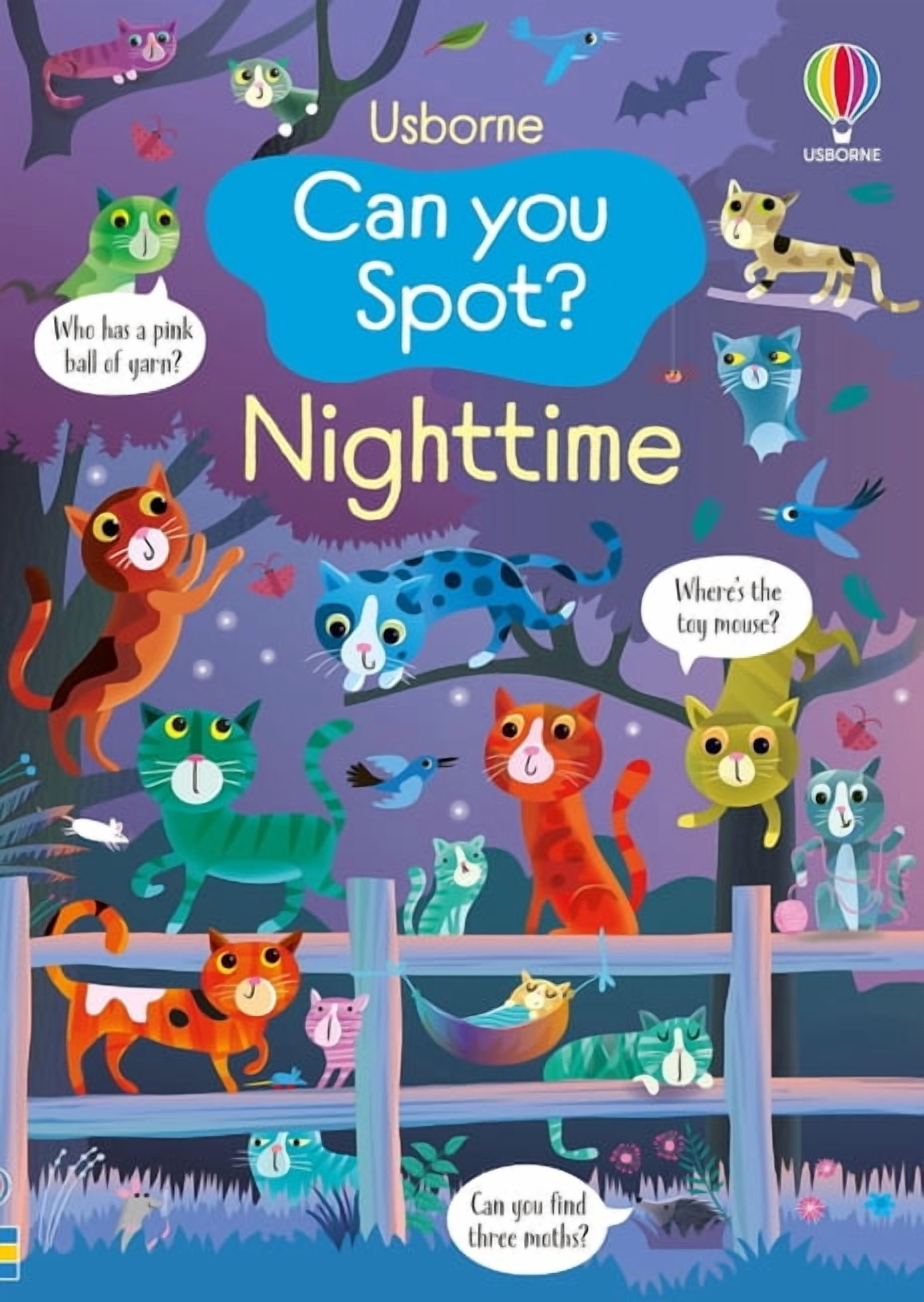 Can You Spot? Can You Spot? Nighttime, Book 7, (Paperback)