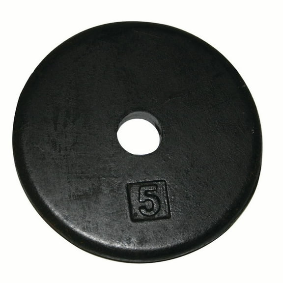 CanDo Iron Disc Weight Plate for Home Gym and Professional Use.