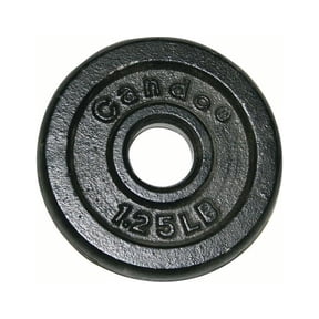 CanDo Iron Disc Weight Plate for Home Gym and Professional Use.
