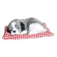 thumbnail image 1 of CanGonggg Funny Toys Dog Sleeping In The Mattress Doll Toy Mini Dog In Shoe With Meows Sounds Sleeping Cute Kitty Toys For Kids Boys Girls Kids Pillow Blue S Clues Toothless Tiana, 1 of 4