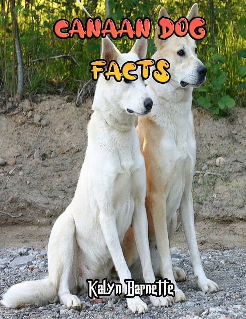 Canaan Dog Facts : CANAAN DOG fact for girl age 1-10 CANAAN DOG fact ...