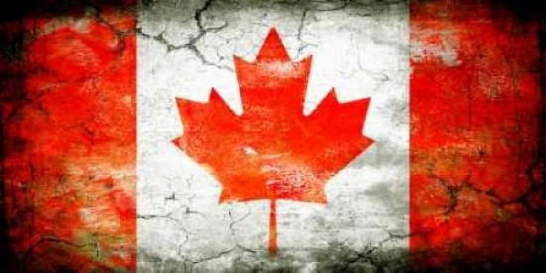 Canada 1 Canvas Art - John H Robins (10 x 20)