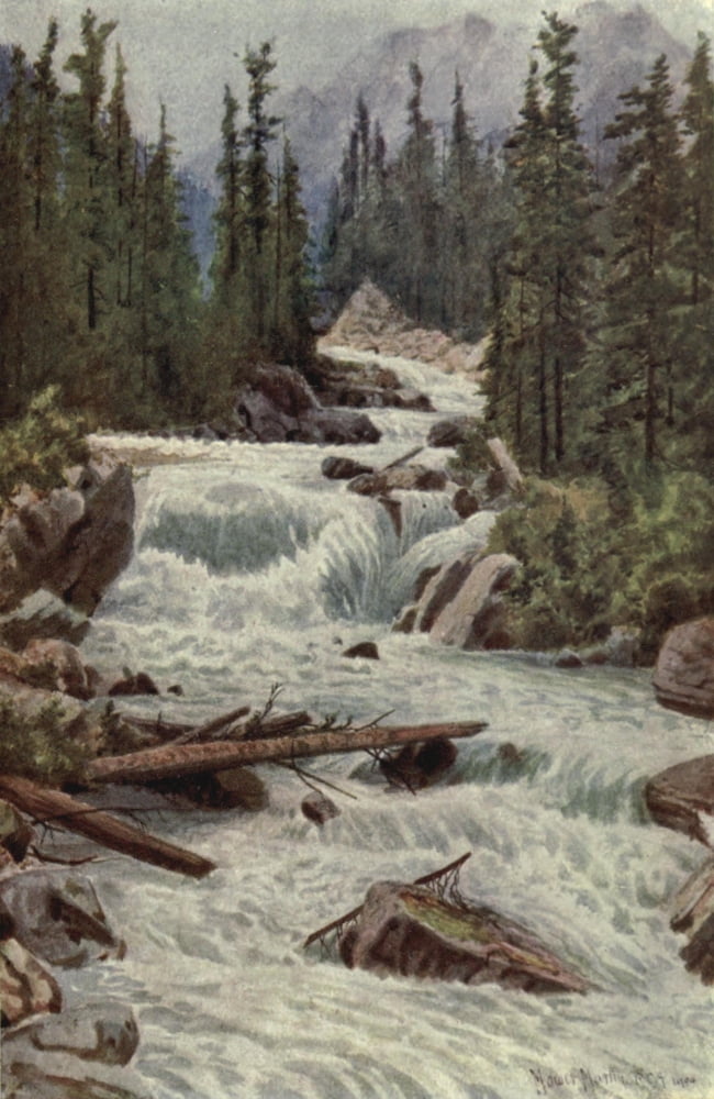 Canada 1907 Falls in Selkirks Canvas Art - T Mower Martin (24 x 36)