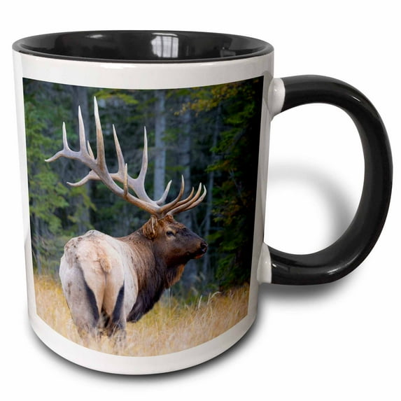 3drose, Canada, Alberta. Bull Rocky Mountain Elk During Fall Rut. Jasper Np., 15oz Two-tone Black Mug