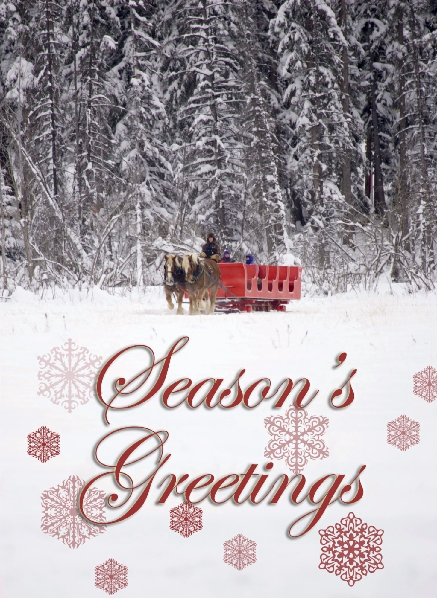 Canada Banff Sleigh rides at Martin Stables (Editorial Usage Only) Canvas Art - Michele Westmorland Danita Delimont (11 x 15)