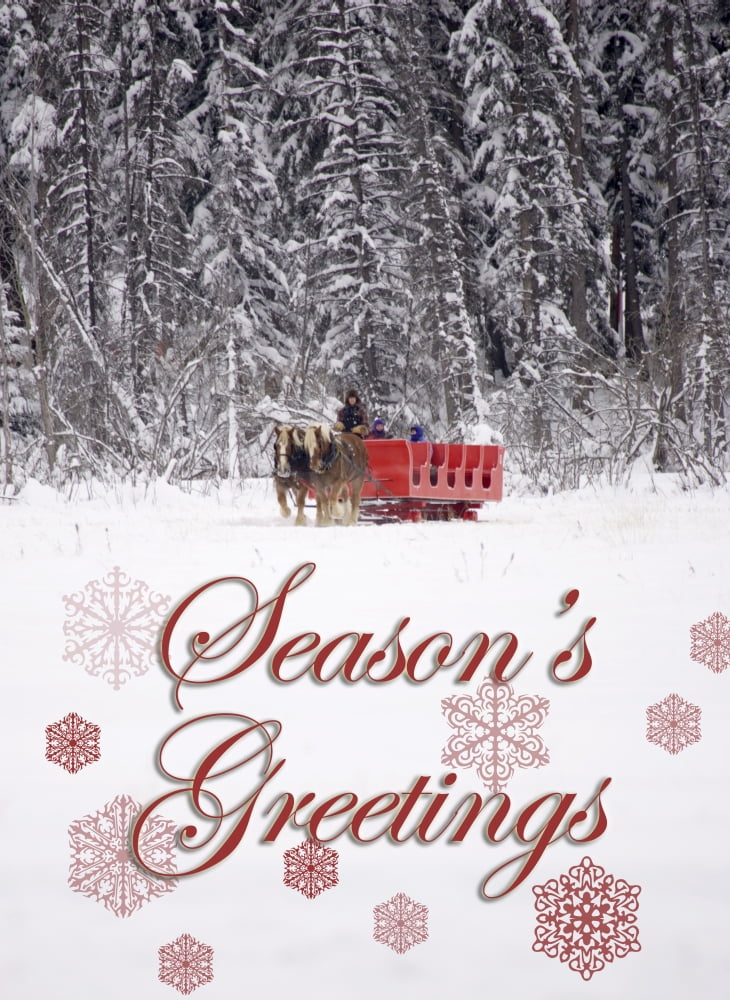 Canada Banff Sleigh rides at Martin Stables (Editorial Usage Only) Canvas Art - Michele Westmorland Danita Delimont (22 x 30)