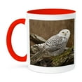 thumbnail image 1 of 3drose, Canada, British Columbia, Boundary Bay, Snowy Owl - Cn02 Rbr0006 - Rick a Brown, 11oz Two-tone Red Mug, 1 of 6