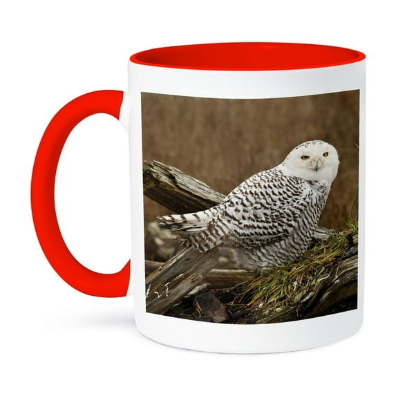 3drose, Canada, British Columbia, Boundary Bay, Snowy Owl - Cn02 Rbr0006 - Rick a Brown, 11oz Two-tone Red Mug