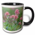 thumbnail image 1 of Canada, British Columbia, East Kootenay Mountains. Indian paintbrush 11oz Two-Tone Black Mug mug-329692-4, 1 of 3