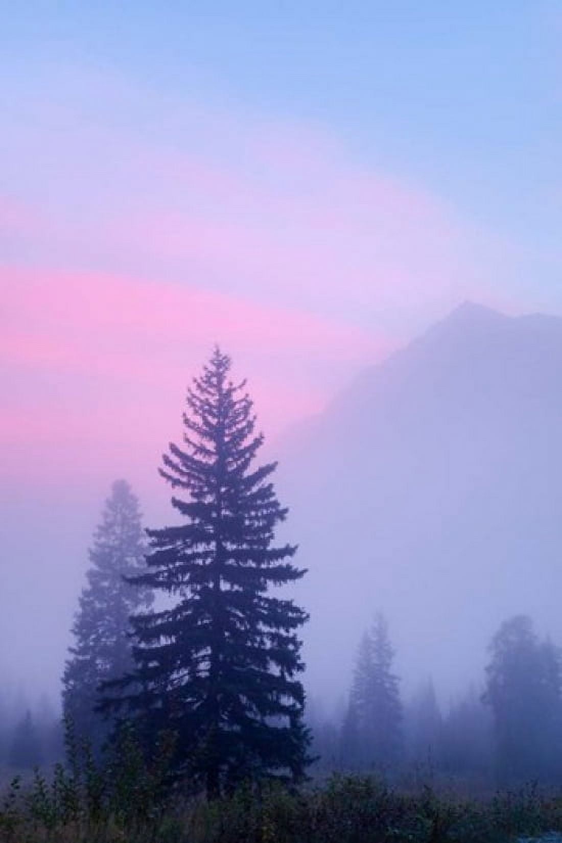 Canada British Columbia Mount Robson Park Foggy sunrise Canvas Art - Jaynes Gallery DanitaDelimont (19 x 29)