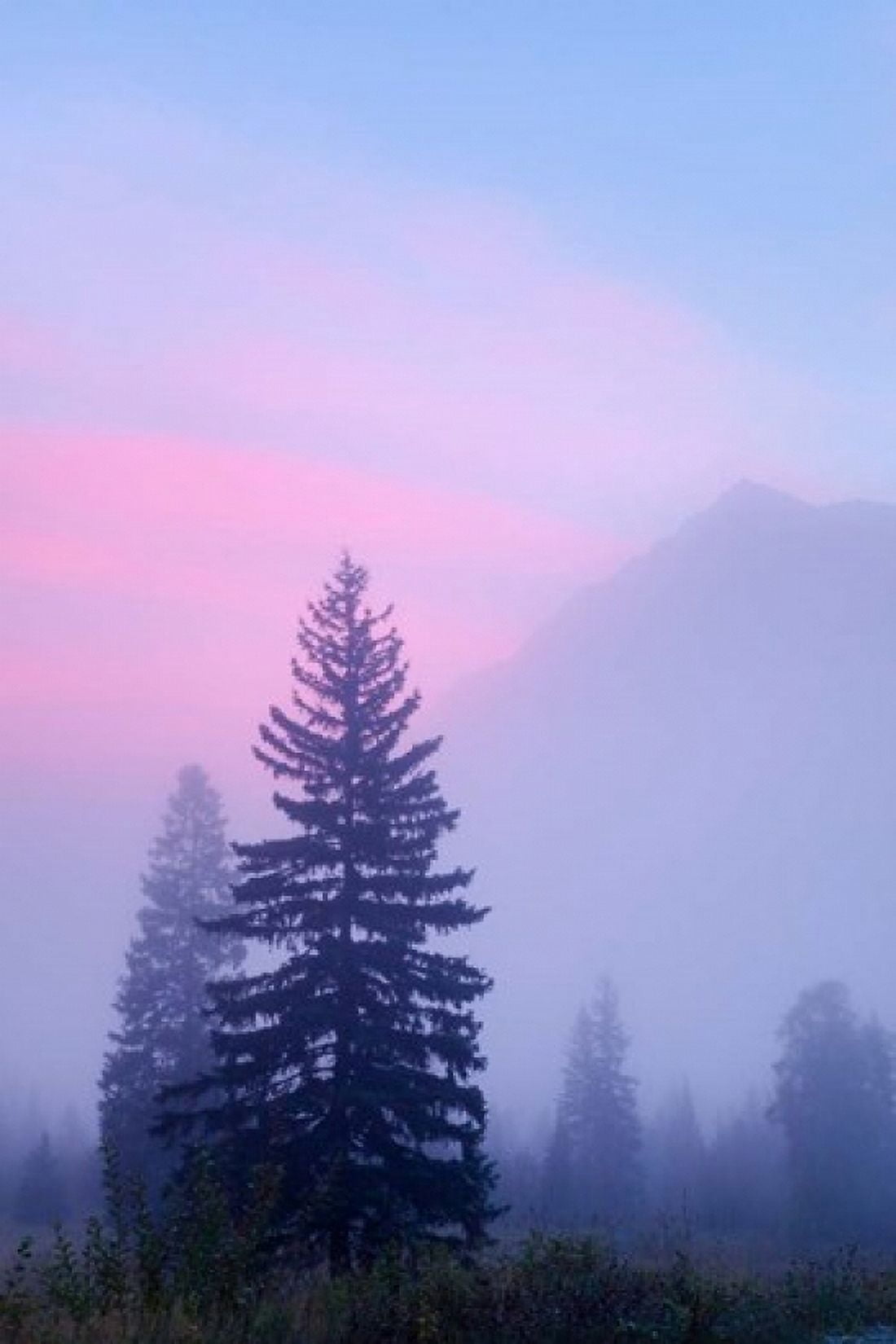 Canada British Columbia Mount Robson Park Foggy sunrise Canvas Art - Jaynes Gallery DanitaDelimont (24 x 36)