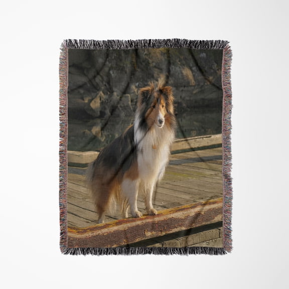 Canada, British Columbia. Sheltie Standing On The Wharf, Conover Cove, Woven Blanket