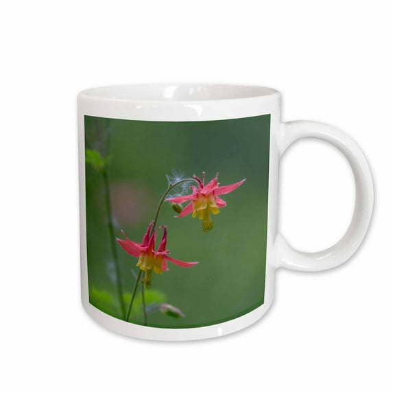 3drose, Canada, British Columbia. Sitka Columbine Flower., 15oz Mug
