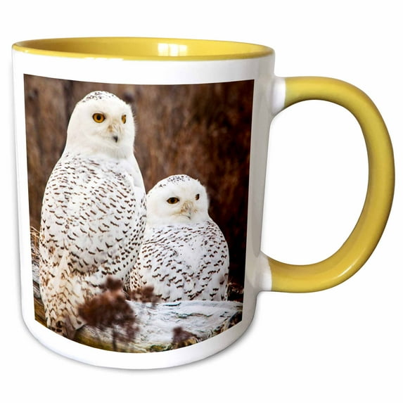 3drose, Canada, British Columbia, Two Snowy Owl Waiting to Hunt, 11oz Two-tone Yellow Mug