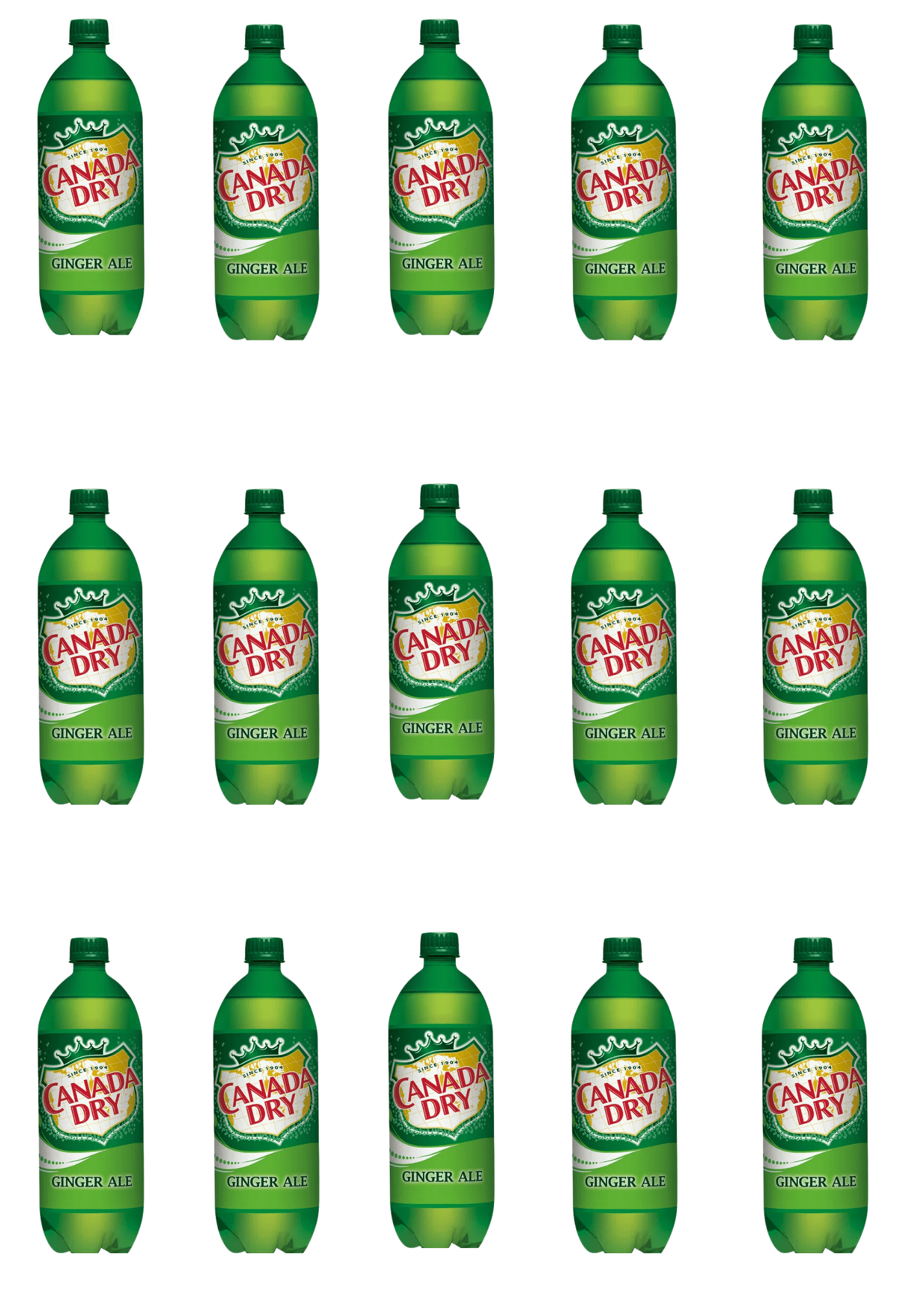 Canada Dry 1 Liter Drink Mixers Tonic, Zero Tonic, Club Soda, and Ginger Ale Bundled by