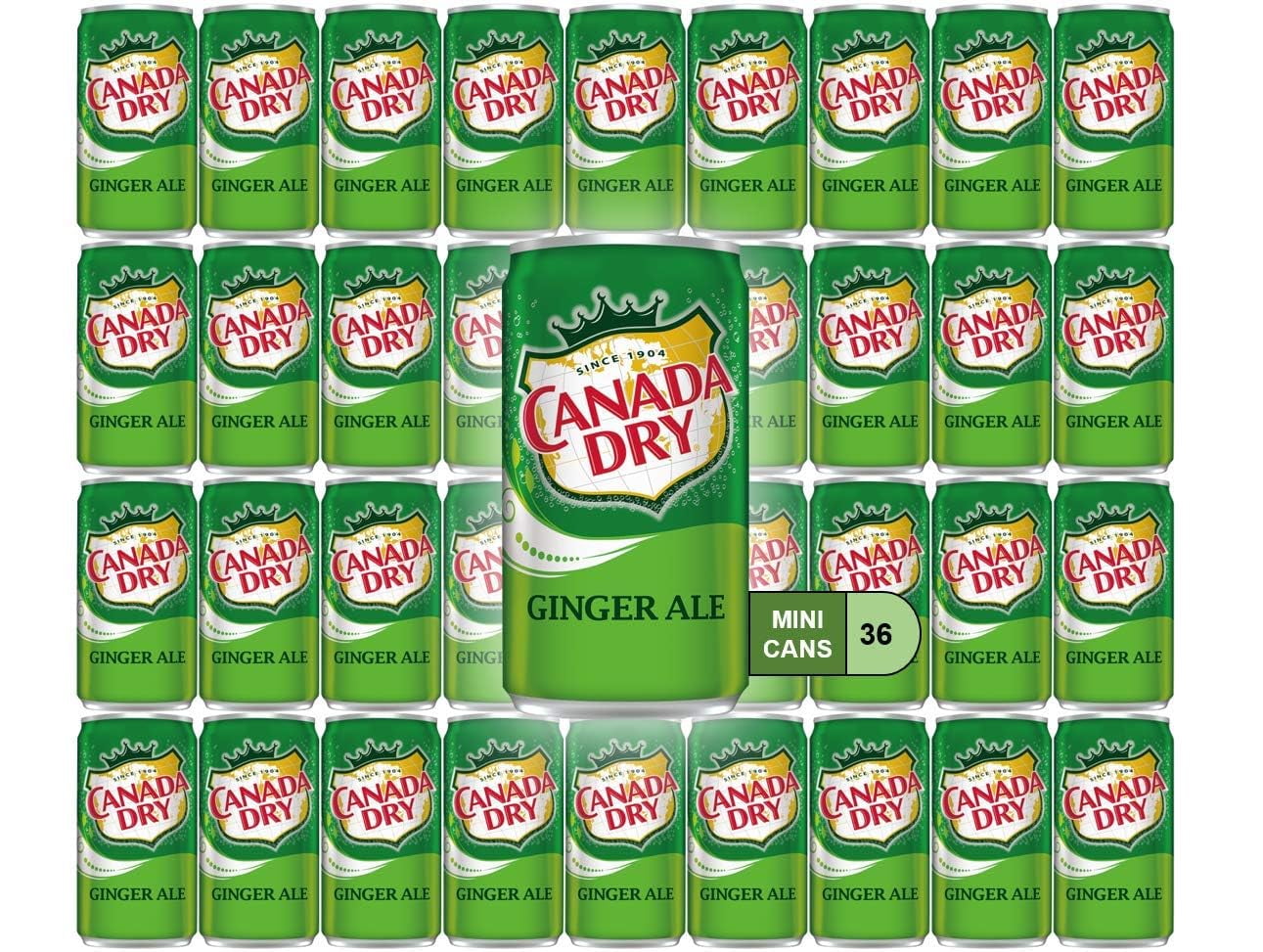 Canada Dry Ale Mini Soda Cans, 7.5 Oz Soft Drinks Bulk Snacks Pack