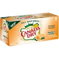 Sparkling Mandarin Orange Refreshment: Canada Dry's Tantalizing Twist