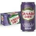 thumbnail image 1 of Canada Dry Caffeine Free Blackberry Ginger Ale Soda Pop, 12 fl oz, 12 Pack Cans, 1 of 8