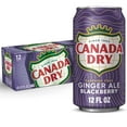 thumbnail image 1 of Canada Dry Caffeine Free Blackberry Ginger Ale Soda Pop, 12 fl oz, 12 Pack Cans, 1 of 6