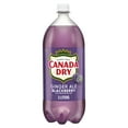 thumbnail image 1 of Canada Dry Caffeine Free Blackberry Ginger Ale Soda Pop, 2 L, Bottle, 1 of 7