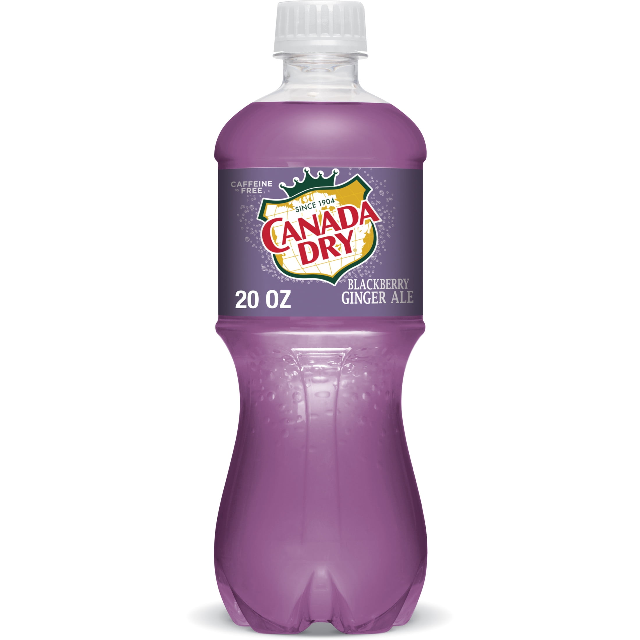 Canada Dry Caffeine Free Blackberry Ginger Ale Soda Pop, 20 fl oz, Bottle