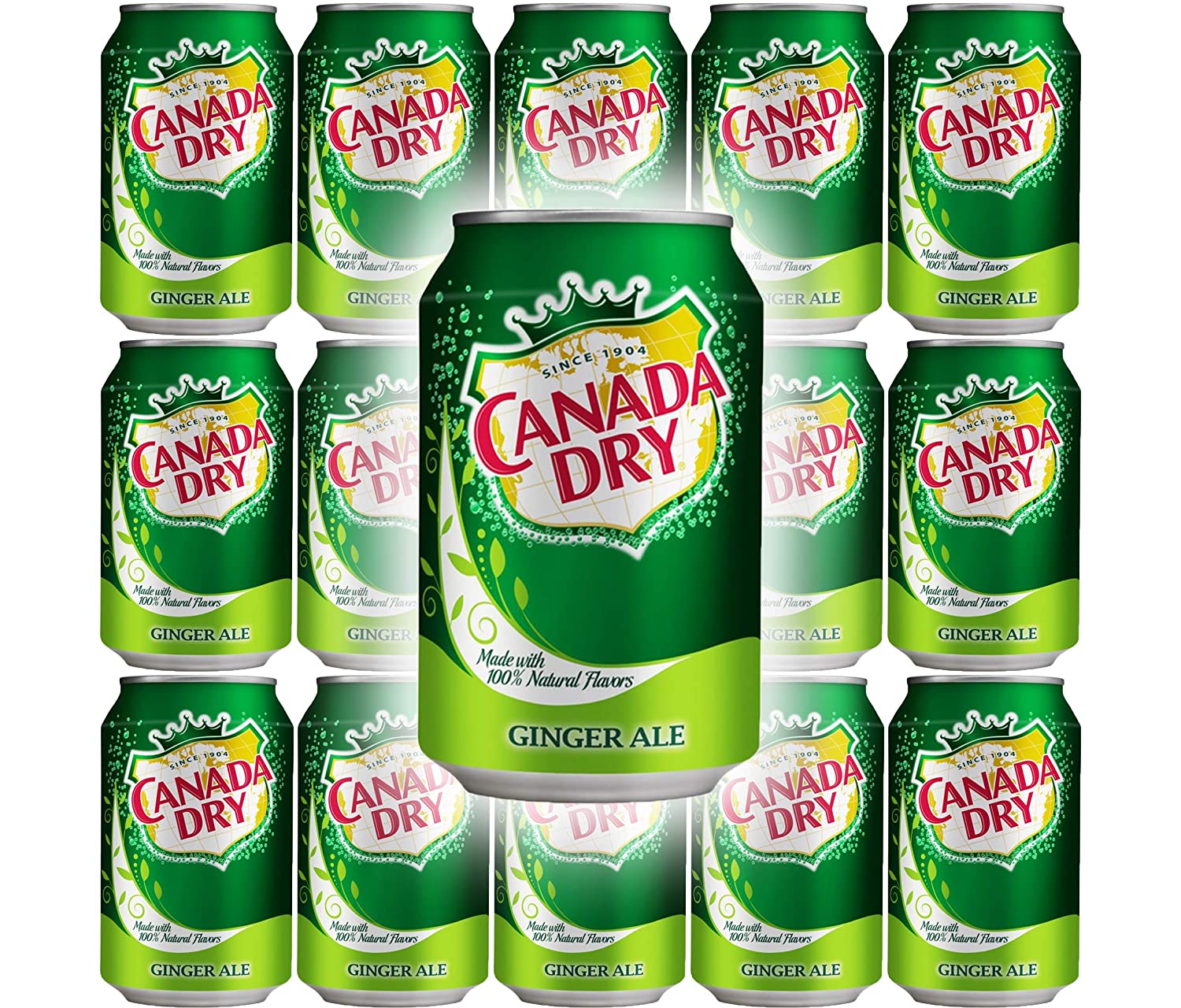 Canada Dry Ginger Ale, 12oz Can (Pack of 15, Total of 180 Oz) - image 1 of 2