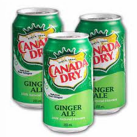 Canada Dry Ginger Ale Fridge Pack Cans, 355 mL, 3 Pack - image 1 of 11