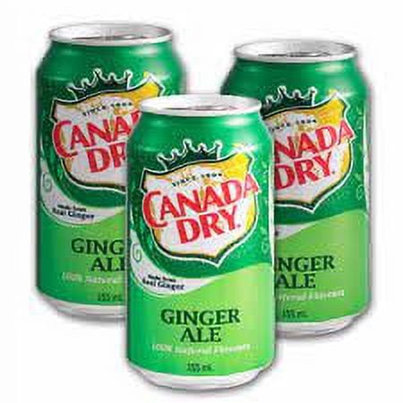 Canada Dry Ginger Ale Fridge Pack Cans, 355 mL, 3 Pack