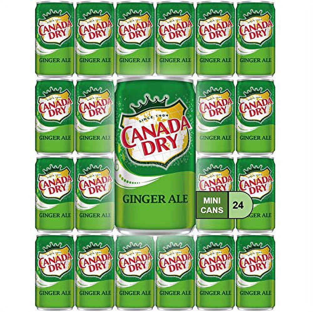 Canada Dry Ginger Ale Mini Soda Cans, 7.5 oz, Bulk Pack, 24 Count