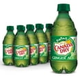 thumbnail image 1 of Canada Dry Ginger Ale Soda Bottles - 12 fl oz - 8 pk, 1 of 5