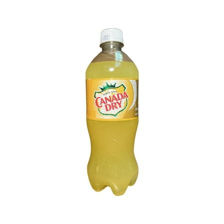 Canada Dry Pineapple Ginger Ale, 20 Fl Oz, Pack of 24