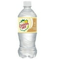 thumbnail image 1 of Canada Dry Vanilla Cream, 20 oz, Pack of 12, 1 of 1