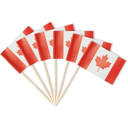 Canada Flag Canadian Miniature Toothpick Flags Decorations Small Cupcake Toppers Cocktail Food Flags Decor For Independence Day Party Bar (100 pack)