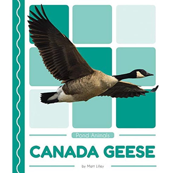 Pre-Owned Canada Geese (Pond Animals) Paperback