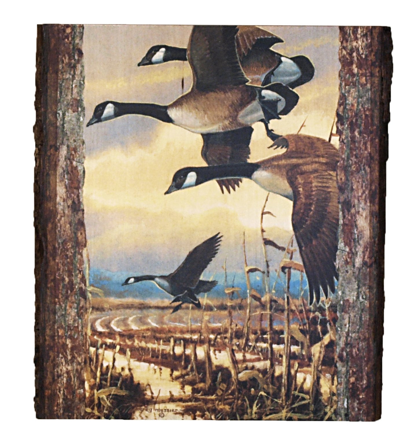 Canada Geese Wildlife Wall Art Panel With Attractive Bark Edge