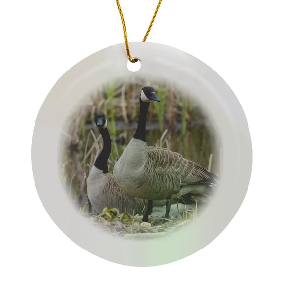 3drose, Canada Geese with Newly Hatched Goslings., Circle Porcelain Ornament