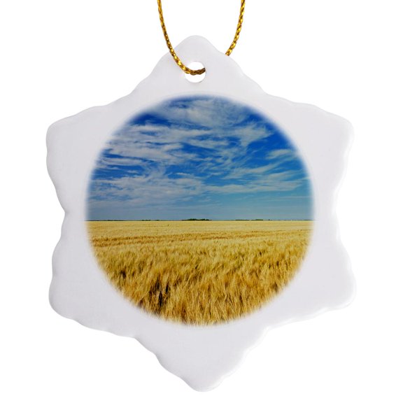 3drose, Canada, Manitoba, Myrtle. Crop Field of Two-row Barley., 3 inch Snowflake Porcelain Ornament